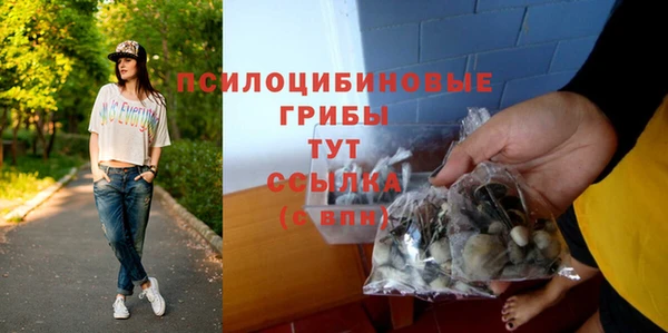 крисы Белокуриха