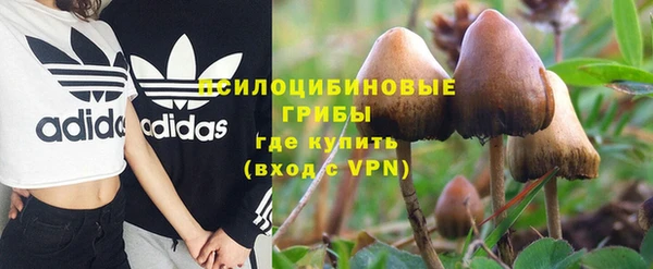 дмт Балабаново