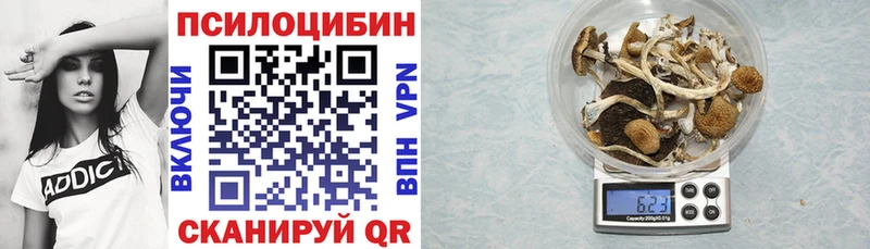 Купить  Славянск-на-Кубани  Галлюциногенные грибы Psilocybine cubensis 
